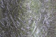 West Head fibreglass roof work